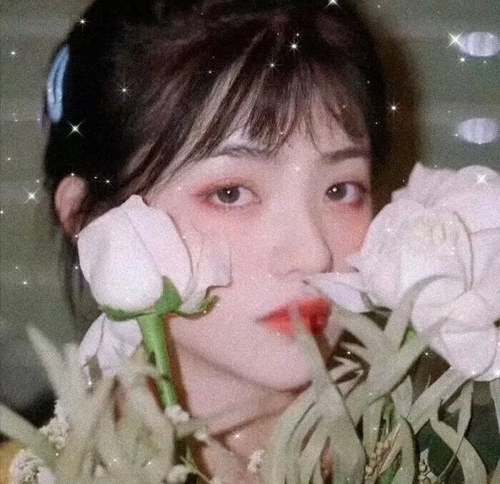 普罗米亚 前日谭